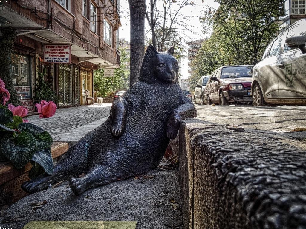 ព័ត៌មានថ្មីៗ និងការផ្លាស់ប្តូរទើងជាទីពេញនិយម